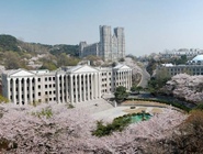 Университет Кён-хи (Kyung Hee University)