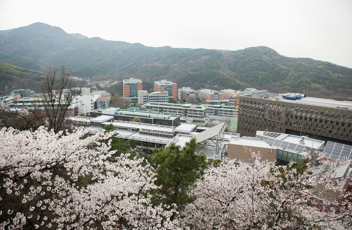 Сеульский национальный университет (Seoul National University)