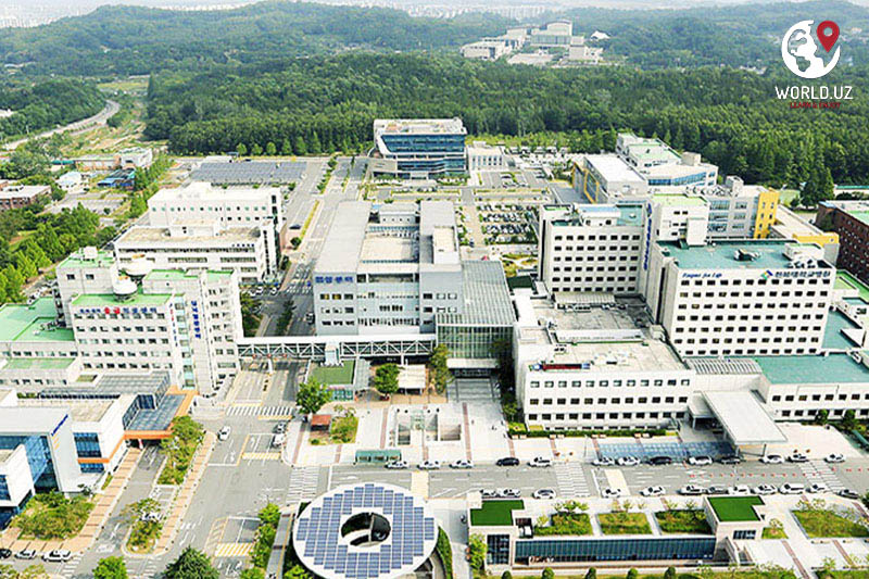 Chonbuk National University