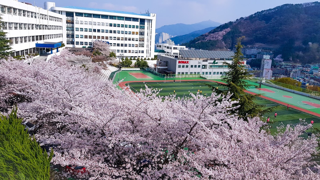 Busan Institute of Science & Technology